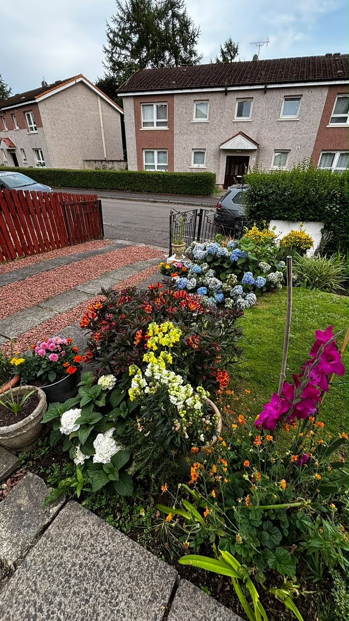 Colourful front garden border