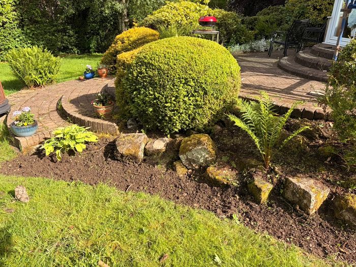 Trimmed topiary and rockery border beside a patio